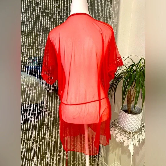 VINTAGE SHEER PEIGNOIR - Picture 4 of 6